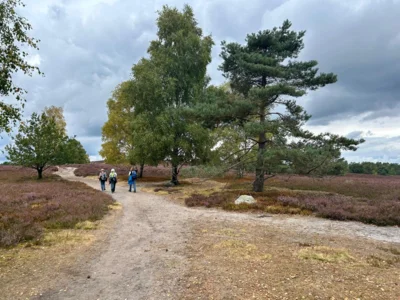 Foto des Albums: Die Heide mit Büsenbachtal, Brunsberg und Höllenschlucht