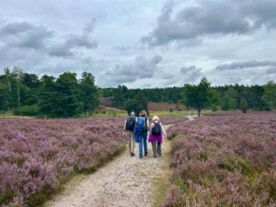 Foto des Albums: Die Heide mit Büsenbachtal, Brunsberg und Höllenschlucht