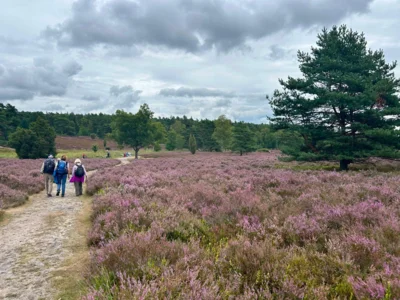 Foto des Albums: Die Heide mit Büsenbachtal, Brunsberg und Höllenschlucht