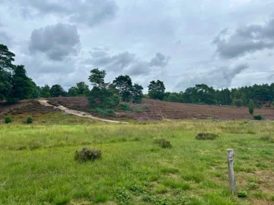 Foto des Albums: Die Heide mit Büsenbachtal, Brunsberg und Höllenschlucht