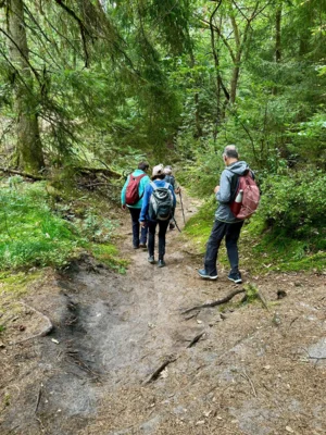 Foto des Albums: Die Heide mit Büsenbachtal, Brunsberg und Höllenschlucht