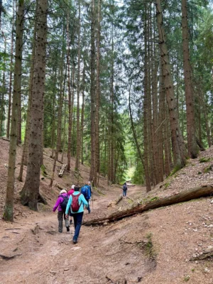 Foto des Albums: Die Heide mit Büsenbachtal, Brunsberg und Höllenschlucht