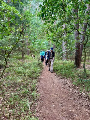 Foto des Albums: Die Heide mit Büsenbachtal, Brunsberg und Höllenschlucht