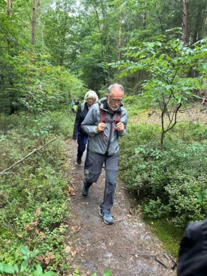 Foto des Albums: Die Heide mit Büsenbachtal, Brunsberg und Höllenschlucht