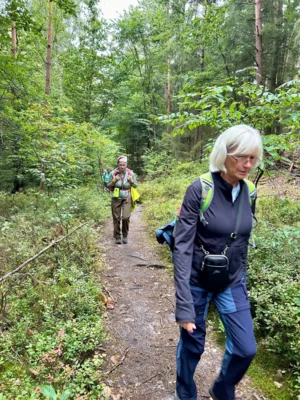 Foto des Albums: Die Heide mit Büsenbachtal, Brunsberg und Höllenschlucht