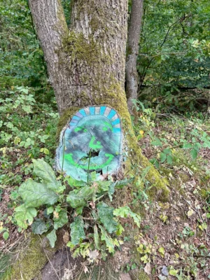 Foto des Albums: Die Heide mit Büsenbachtal, Brunsberg und Höllenschlucht