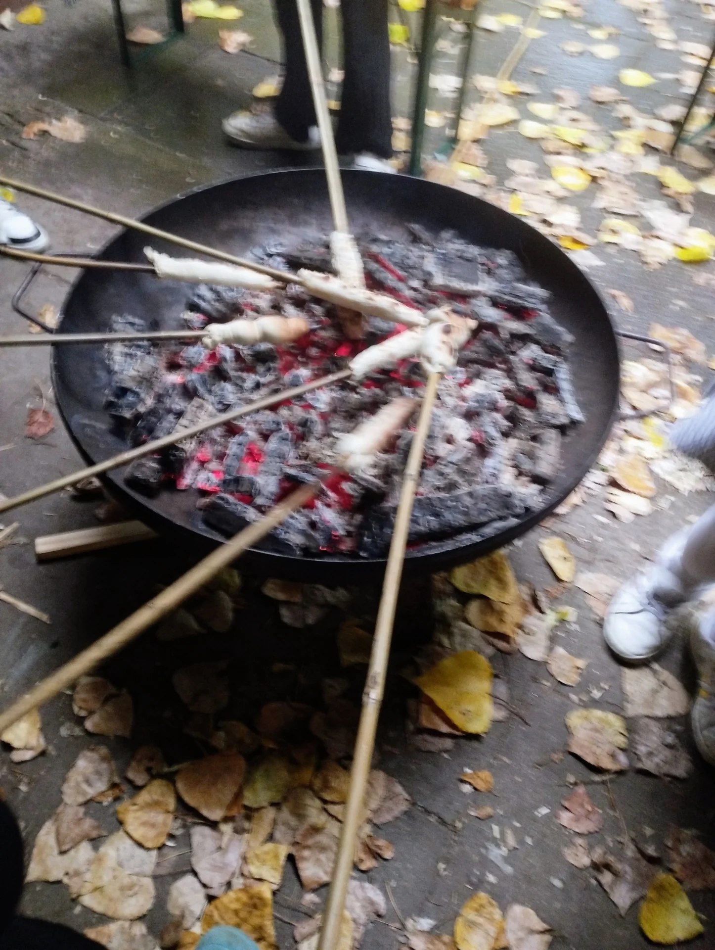 Bild: 20260817 21 Ferienbetreuung Wilhelmsburg (13)