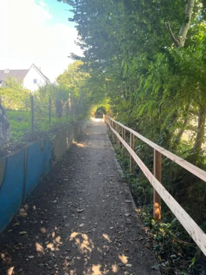 Foto des Albums: Wanderweg „Am Wiesengrund“ nach Sanierung wieder freigegeben