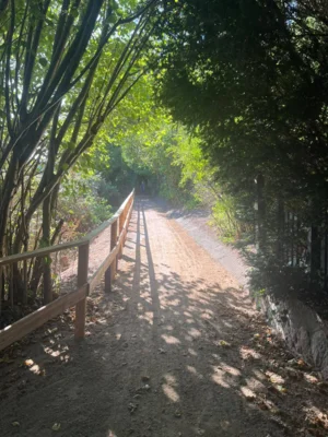 Foto des Albums: Wanderweg „Am Wiesengrund“ nach Sanierung wieder freigegeben