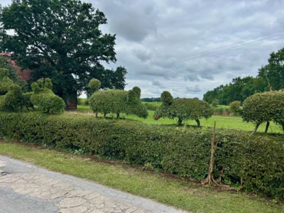 "Im Holt" Hecke mit Tierfiguren  (Bild vergr&ouml;&szlig;ern)