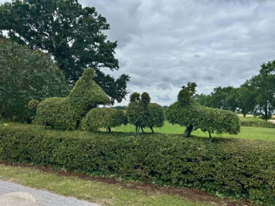 "Im Holt" Hecke mit Tierfiguren  (Bild vergr&ouml;&szlig;ern)