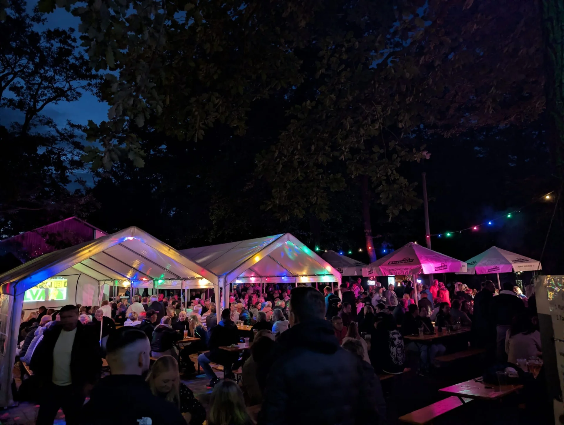 Bild: Parkfest am Abend