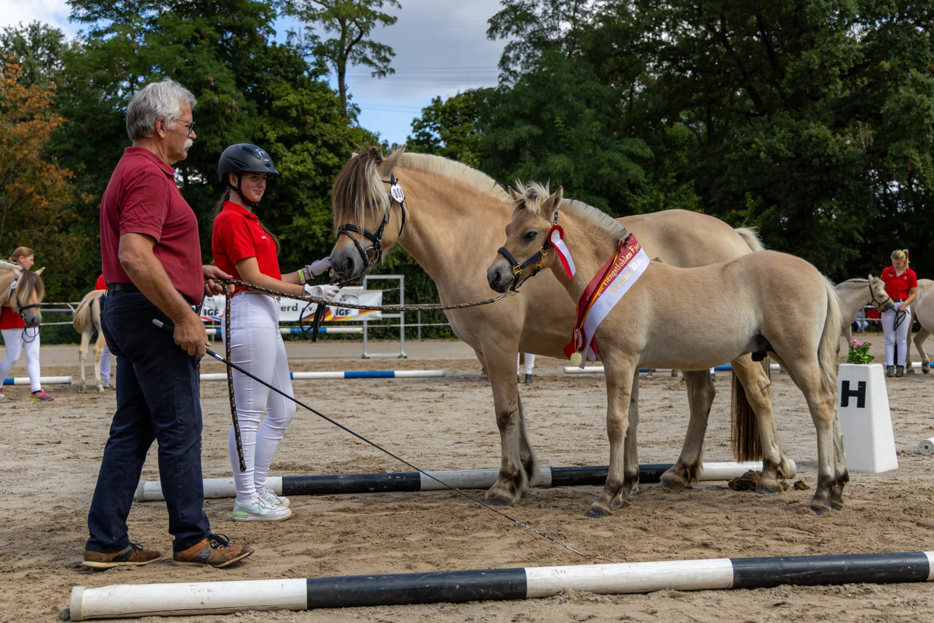 Bild: Sieger Hengstfohlen