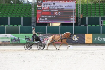 Foto des Albums: Schamu M