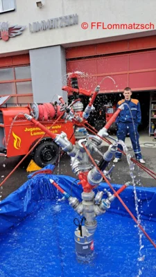 Bild 29 
