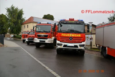 Bild 50 