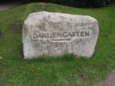 Foto des Albums: Brunchfahrt und Dahliengarten in Hamburg