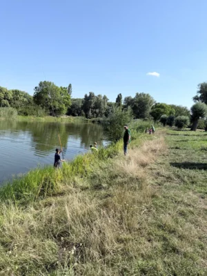 Foto des Albums: Projekt mit Schülern im Juli 2026