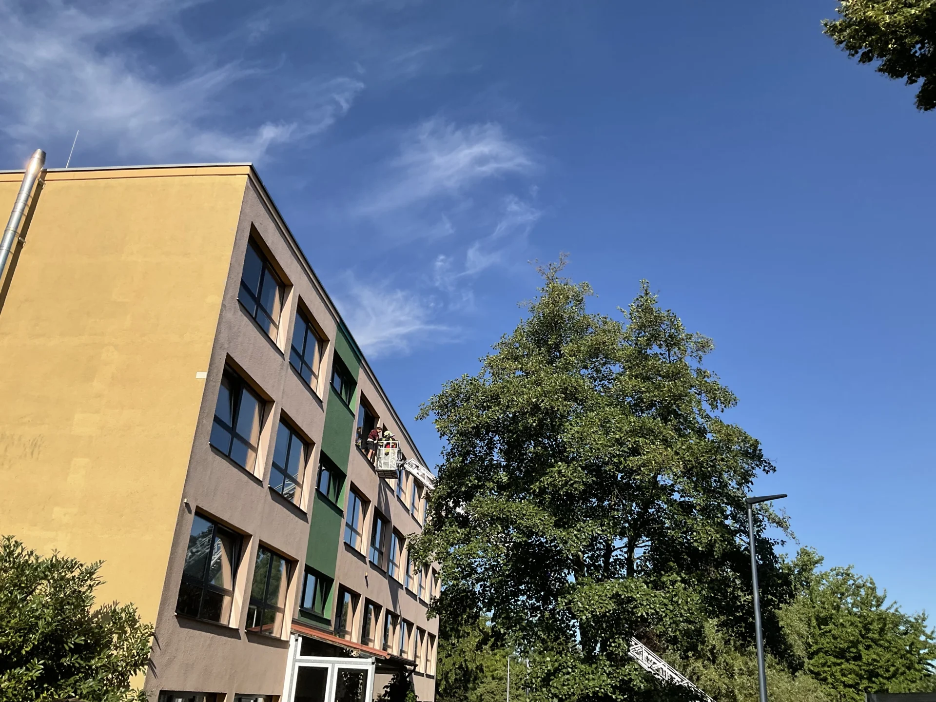 Bild der Galerie