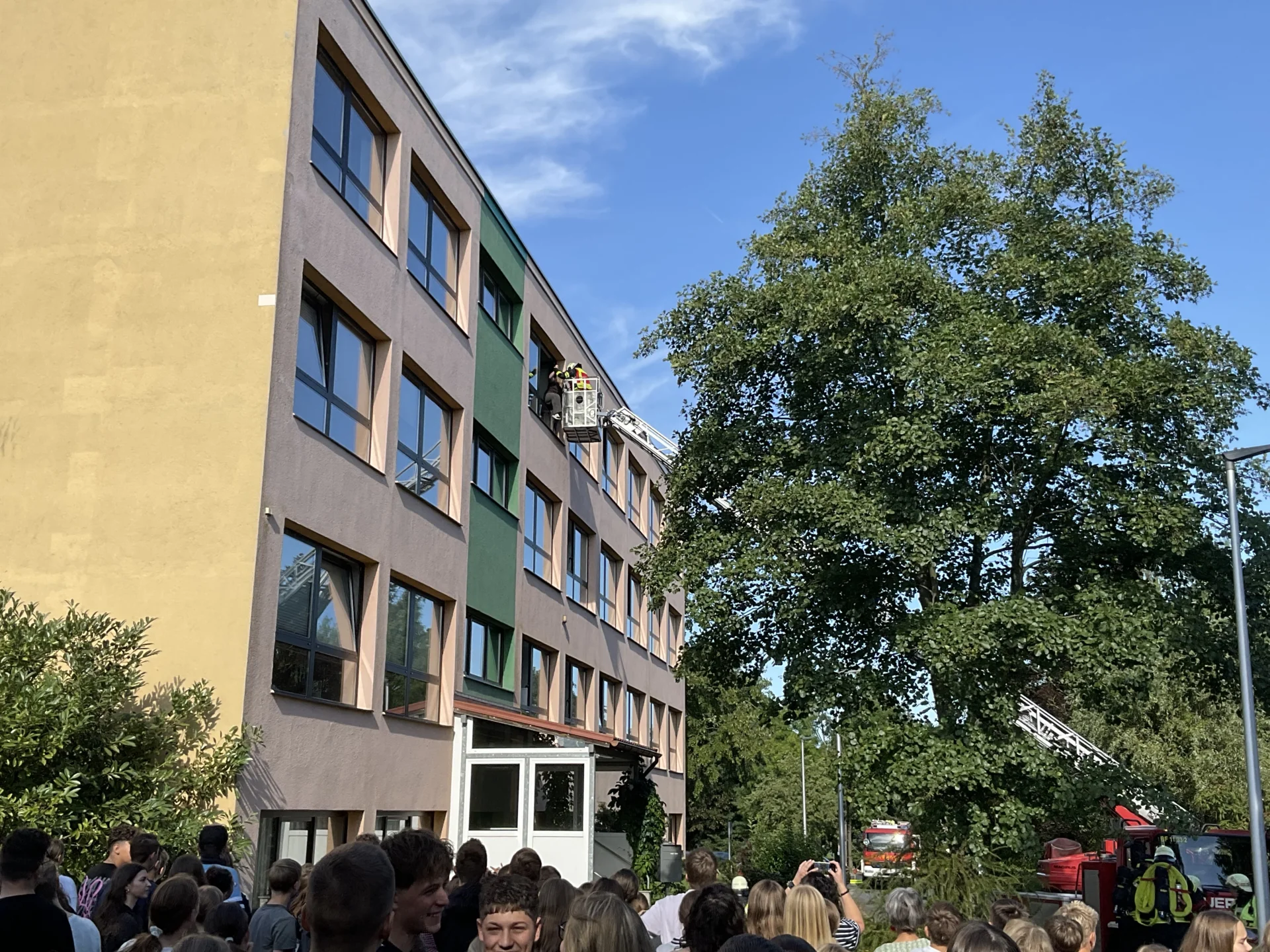 Bild der Galerie