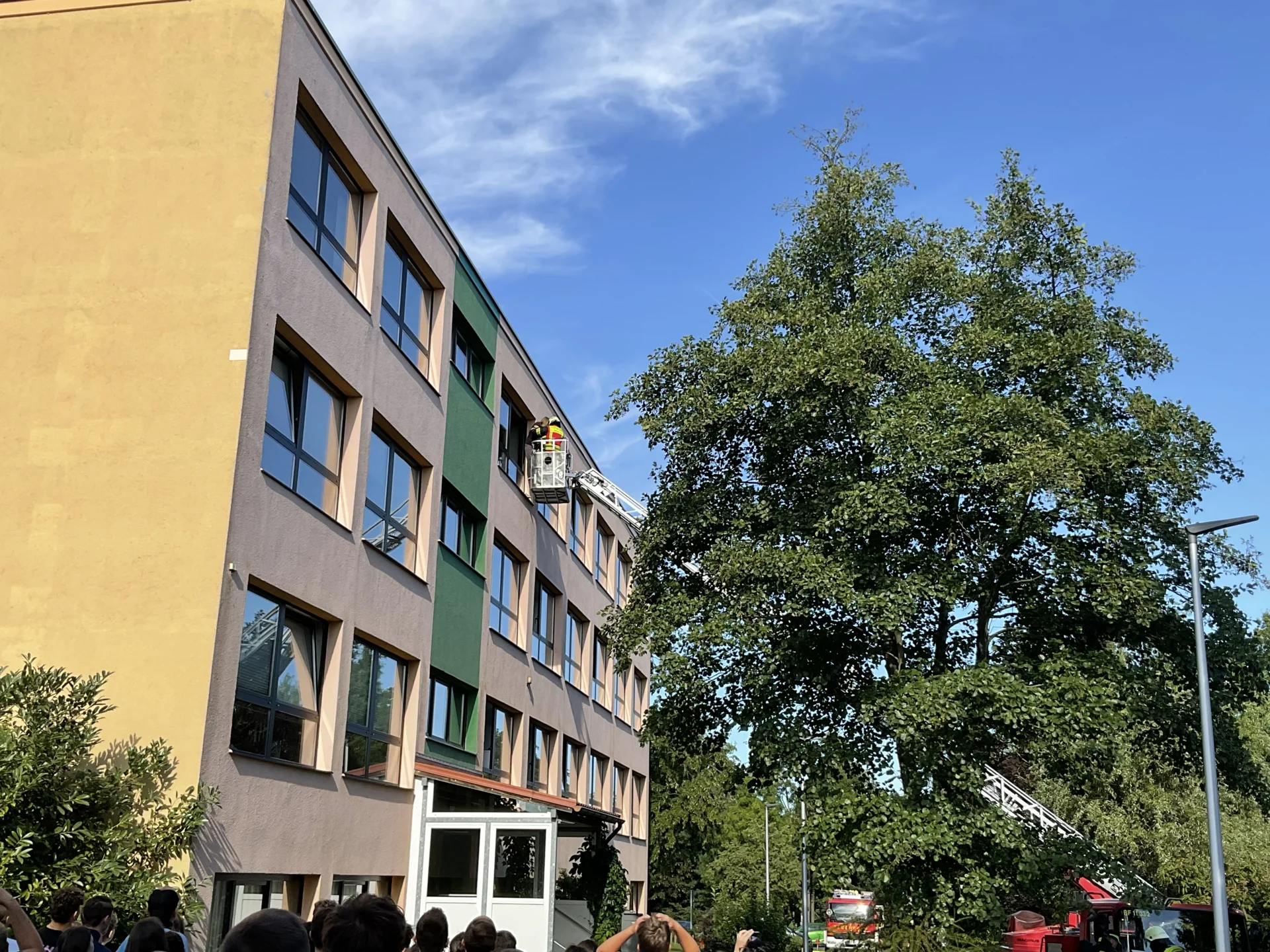 Bild der Galerie