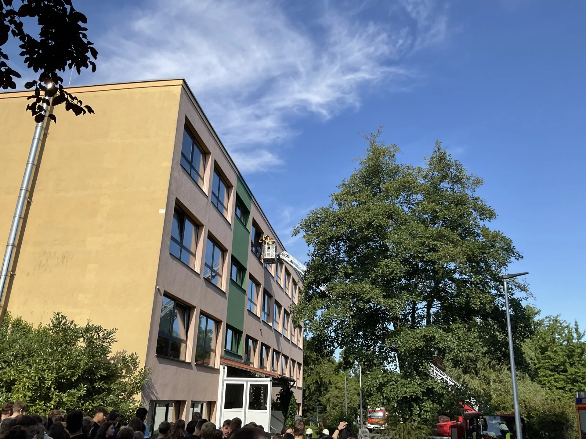 Bild der Galerie