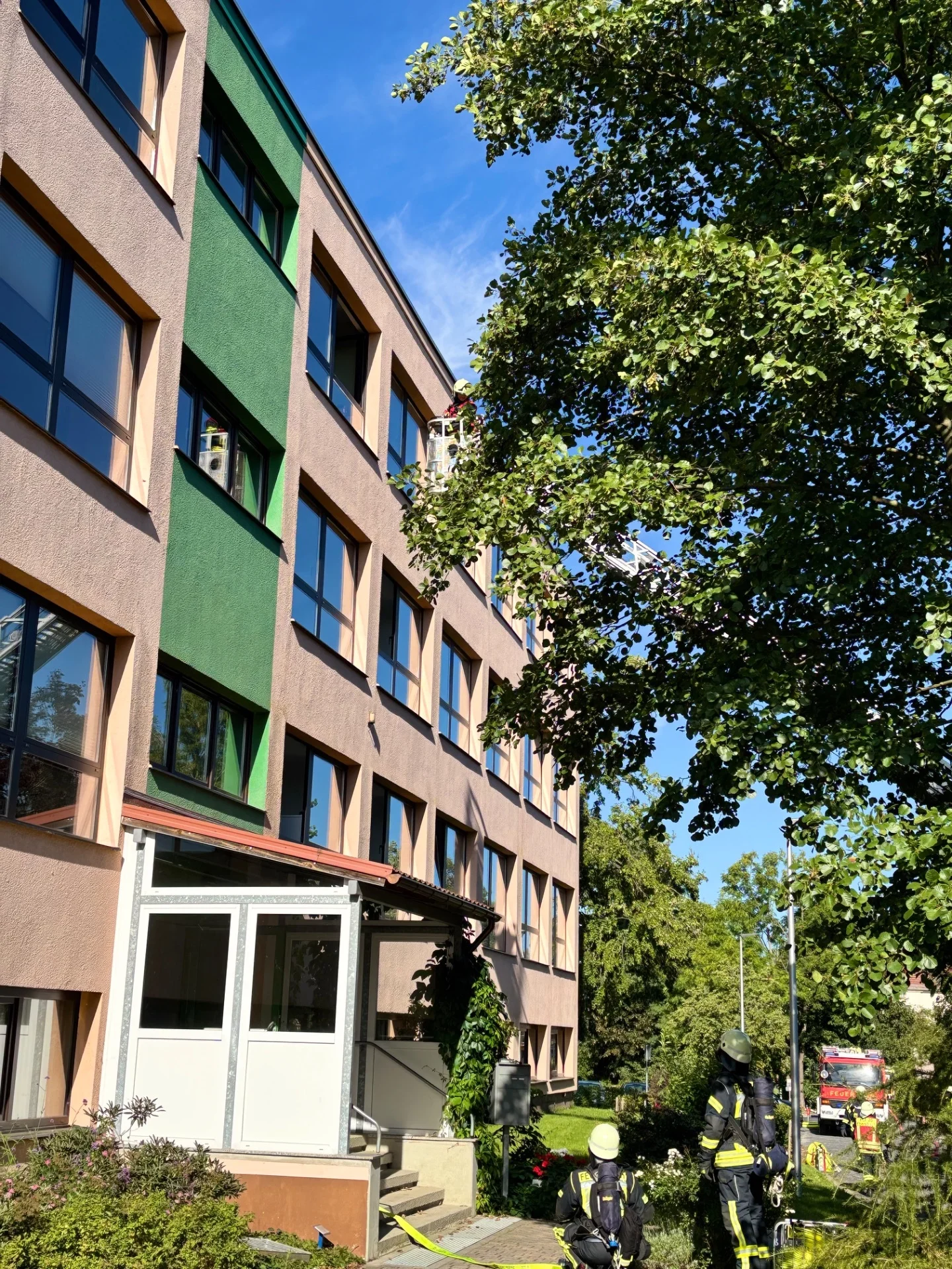 Bild der Galerie