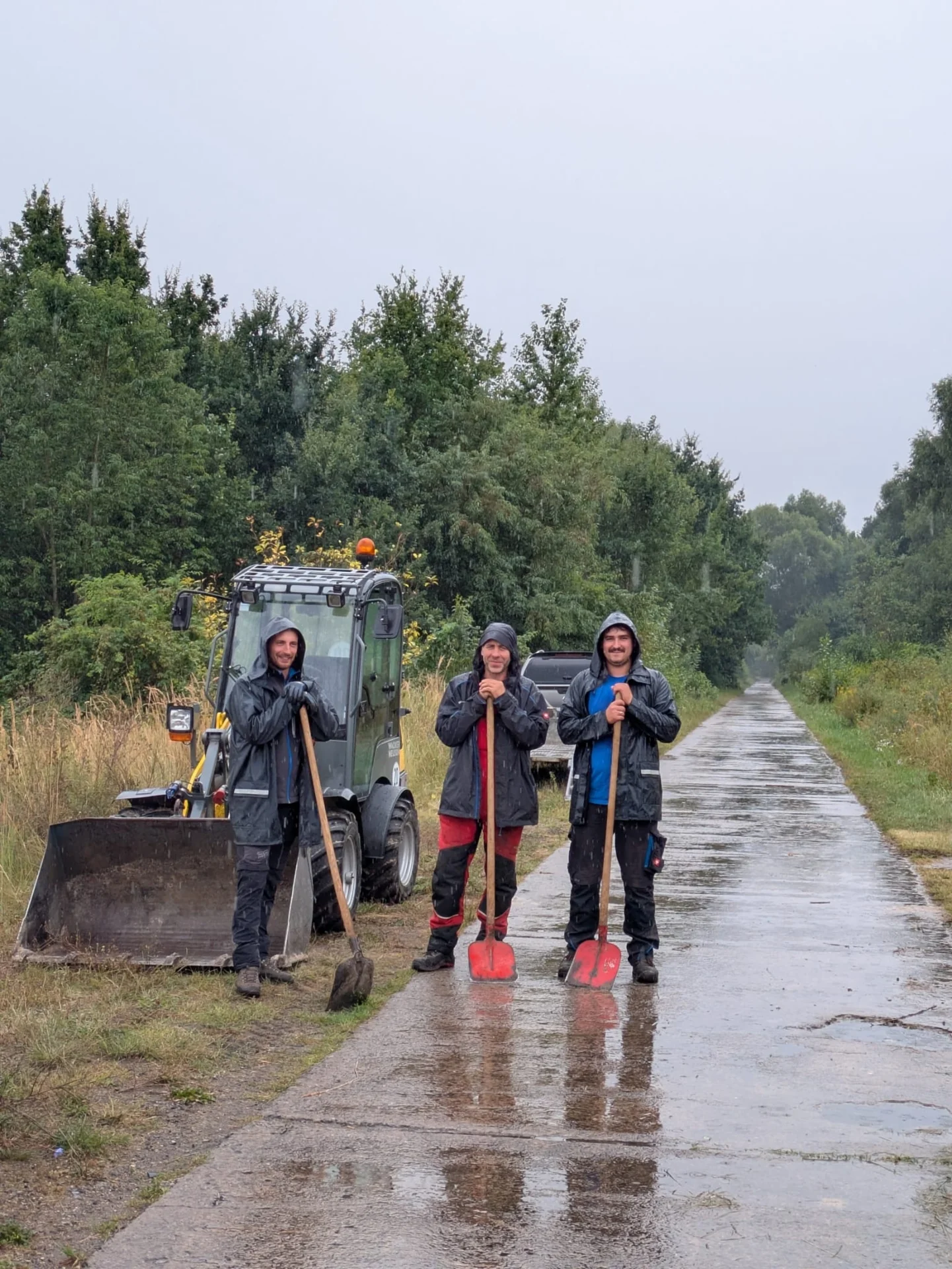Bild: Alles für die Zauneidechsen © Landschafts-Förderverein Nuthe-Nieplitz-Niederung e.V./Menzel