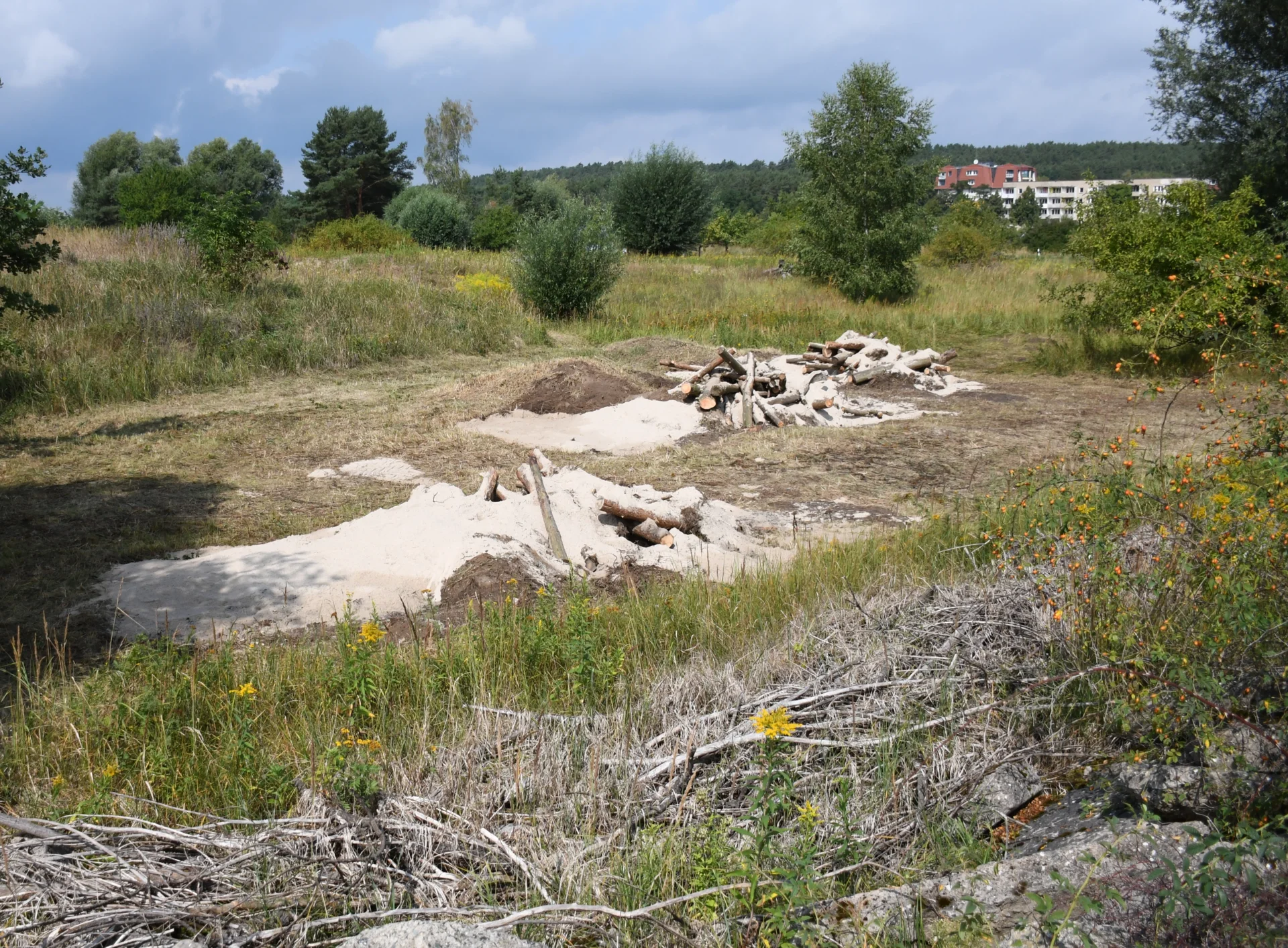 Bild: Zwischenstand © Landschafts-Förderverein Nuthe-Nieplitz-Niederung e.V./Timme