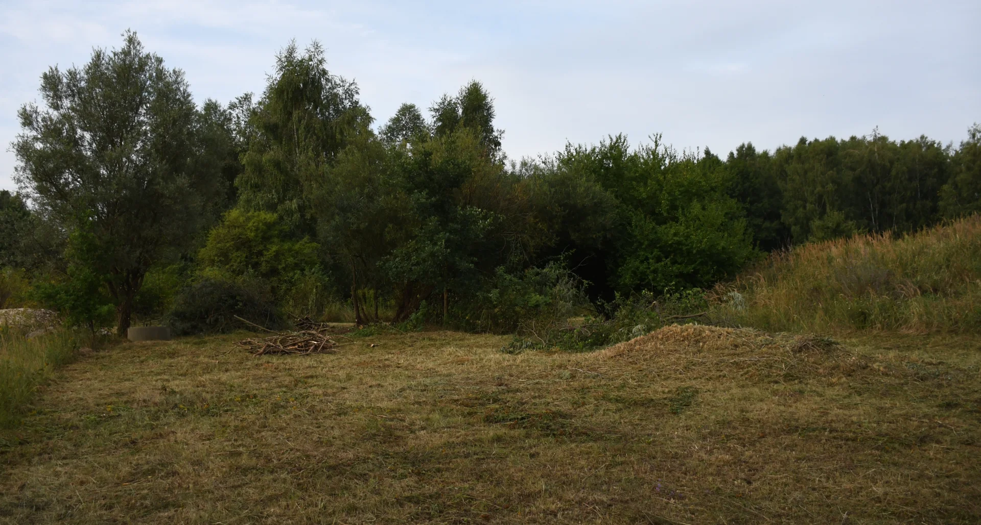 Bild: Frei geschnittene Fläche © Landschafts-Förderverein Nuthe-Nieplitz-Niederung e.V./Timme