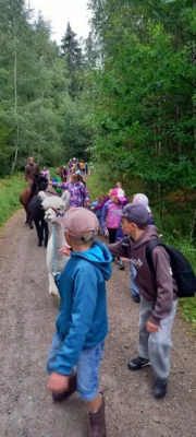 Foto des Albums: Ferienprogramm 2026 FGV