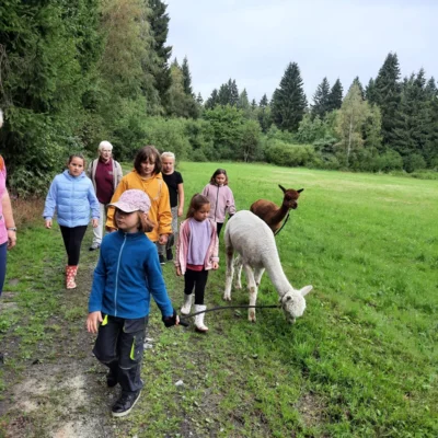 Foto des Albums: Ferienprogramm 2026 FGV