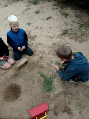 Foto des Albums: Spielplatzeindrücke aus dem Sommer