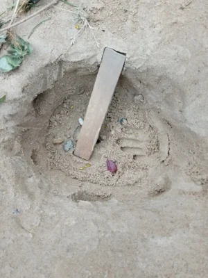 Foto des Albums: Spielplatzeindrücke aus dem Sommer