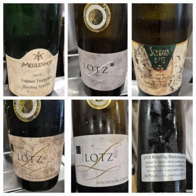 WeingutF&uuml;hrungErdenFotosGabyMeterLehnen (30)  (Bild vergr&ouml;&szlig;ern)
