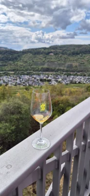 WeingutF&uuml;hrungErdenFotosGabyMeterLehnen (5)  (Bild vergr&ouml;&szlig;ern)