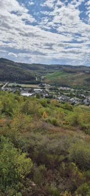WeingutF&uuml;hrungErdenFotosGabyMeterLehnen (7)  (Bild vergr&ouml;&szlig;ern)