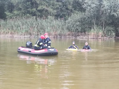 Foto des Albums: Freiwillige Feuerwehr Falkensee übt den Ernstfall am See