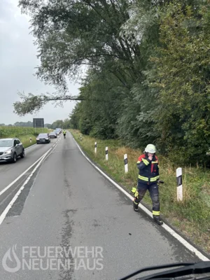 Foto des Albums: 20260828_h2-nw-ring