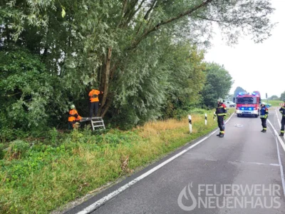 Foto des Albums: 20260828_h2-nw-ring