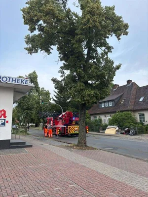 Foto des Albums: 26.06.2025 H_Unwetter - Samtgemeinde Velpke  - Mehrere Einsatzstellen