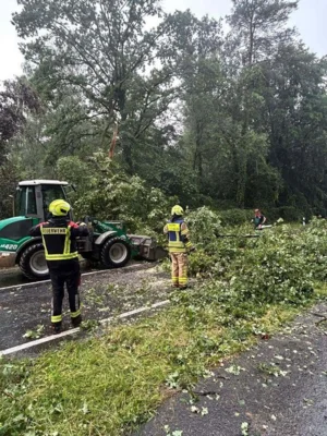 Foto des Albums: 26.06.2025 H_Unwetter - Samtgemeinde Velpke  - Mehrere Einsatzstellen
