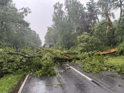 Foto des Albums: 26.06.2025 H_Unwetter - Samtgemeinde Velpke  - Mehrere Einsatzstellen