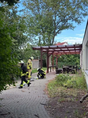 Foto des Albums: 01.08.2025 B_2 _Y- Windmühlenberg, Velpke - Küchenbrand, Personen im Gebäude