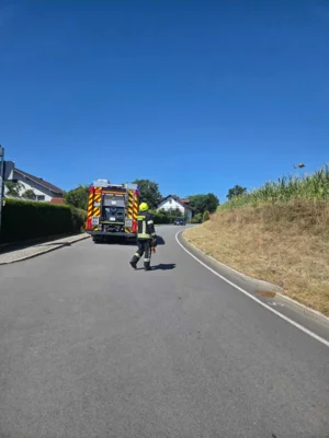 Foto des Albums: Motorrad 2026