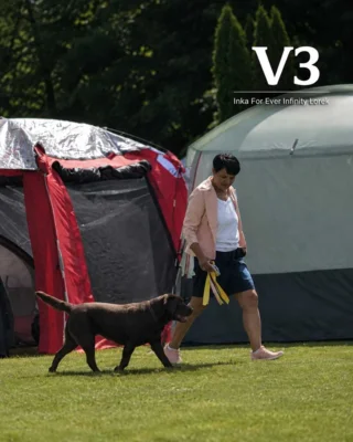 Foto des Albums: CLUB-CAC/CAC - DRC Doppel SRA (26.​07.​2026)