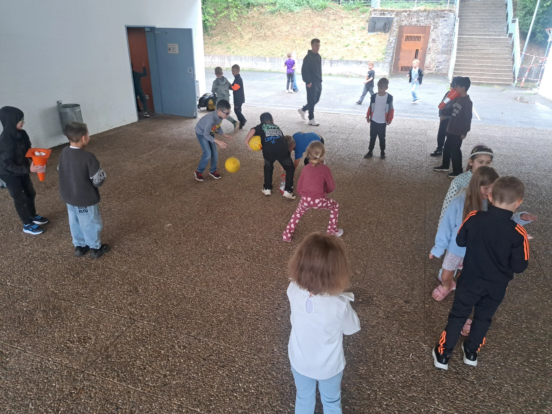 Bild der Galerie