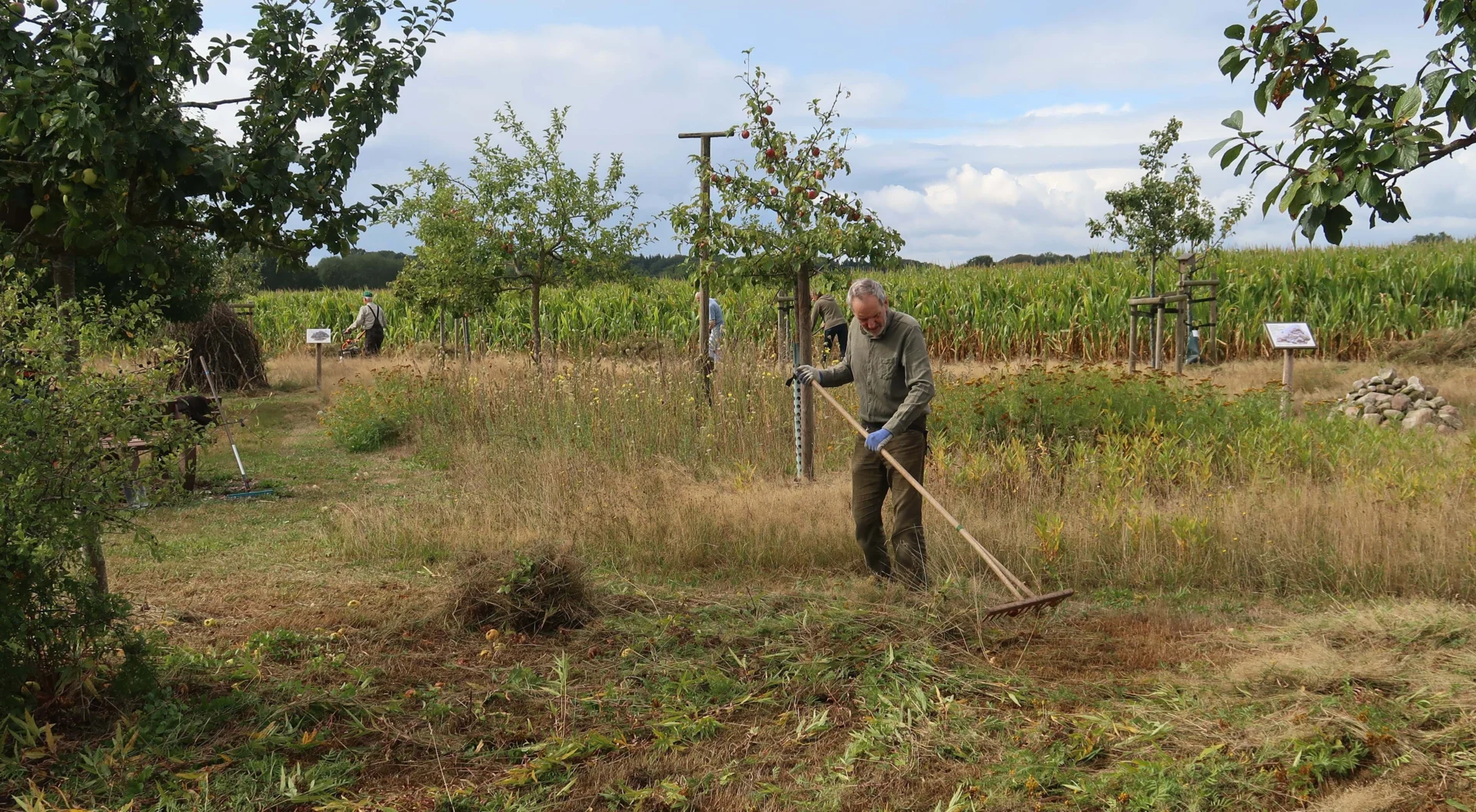 Bild: Feldtor
