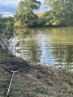 Foto des Albums: Jugendangelcamp Mol-Angler