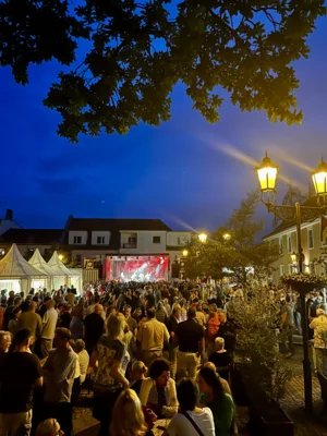 Foto des Albums: Teltower Altstadtsommer vom 28. bis 30. August